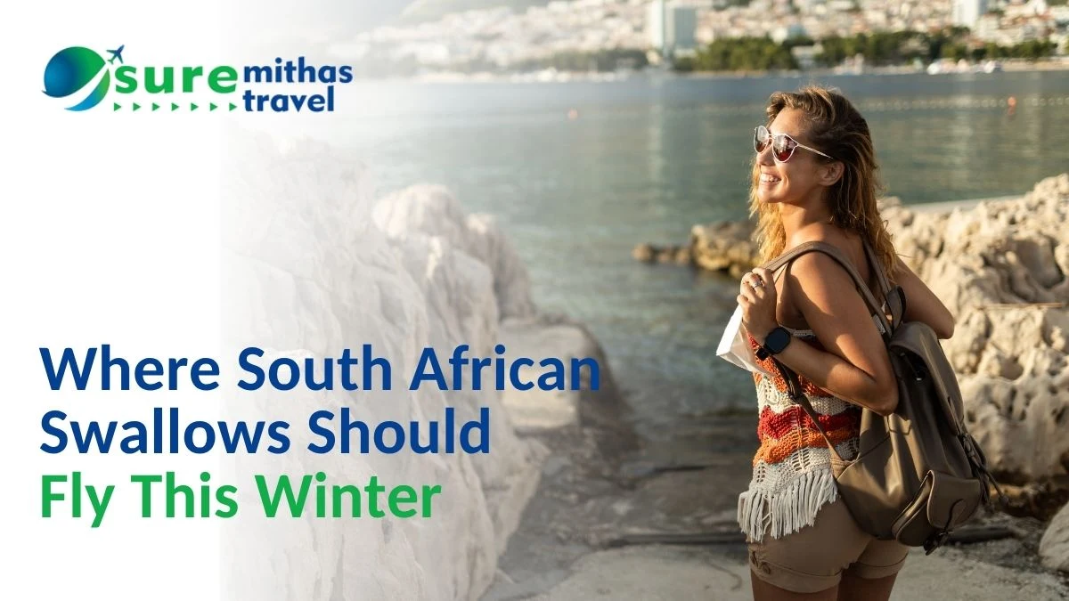 Where South African Swallows Should Fly This Winter