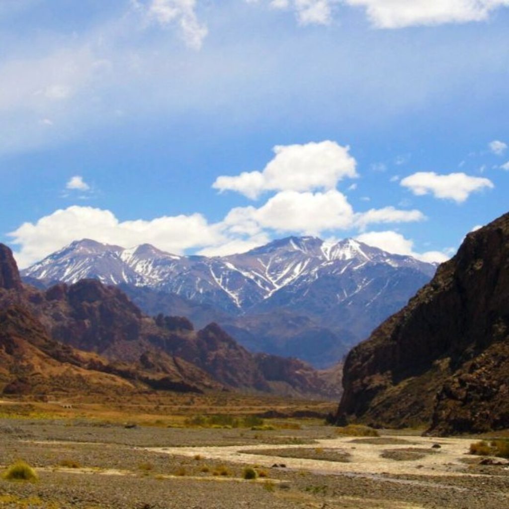 1argentina