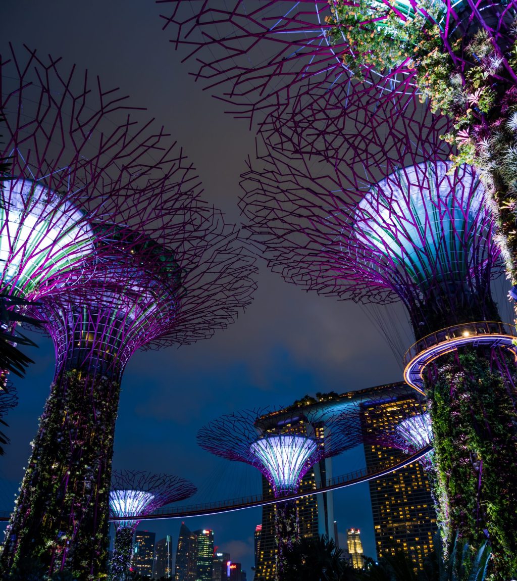 SINGAPORE CITY, SINGAPORE - FEBRUARY 03, 2019: Gardens by the bay in Singapore, Unique vertical gardens resembling towering trees, with large canopies & colorful lights at night